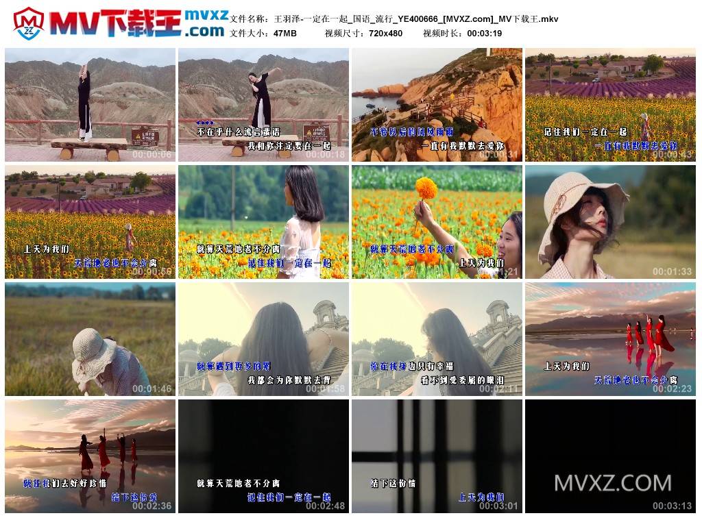王羽泽-一定在一起_国语_流行_YE400666